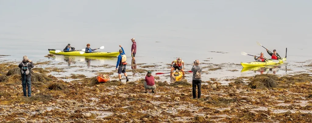 Kayak Tours of Navy Island: Provided by In Step Adventures